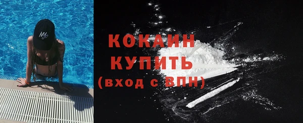винт Абаза