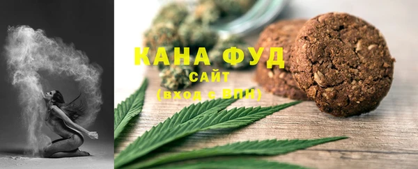 хмурый Алзамай