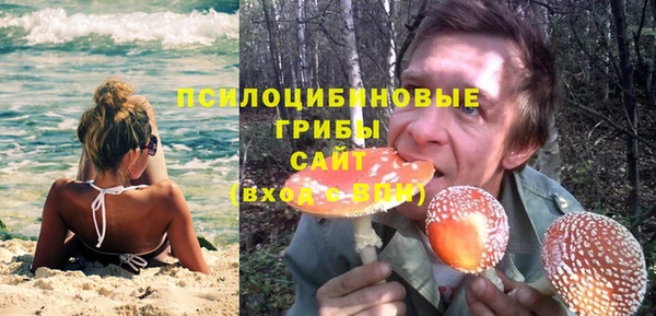 хмурый Алзамай